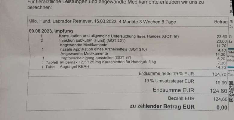 Tierarzt-Rechnung-Beitrag-Bild