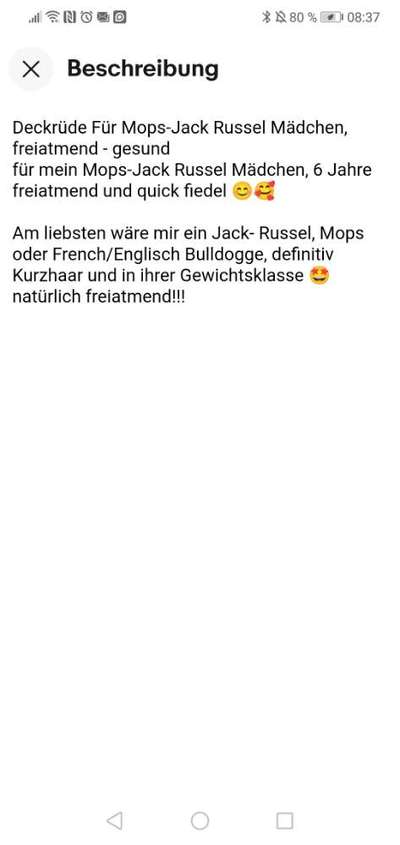 Bilder von Qualzuchten-Beitrag-Bild