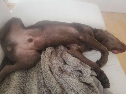 Foto Challenge - Zeigt her eure Bäuche-Beitrag-Bild