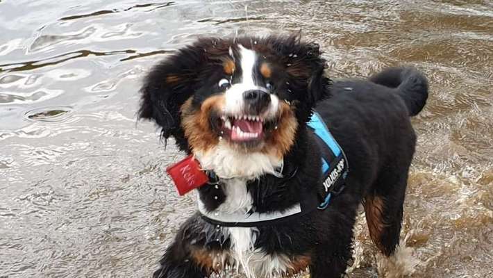 Lieblings Schnappschuss?-Beitrag-Bild