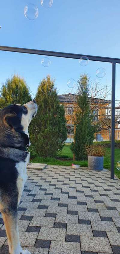 FOTOCHALLENGE 86-Beitrag-Bild