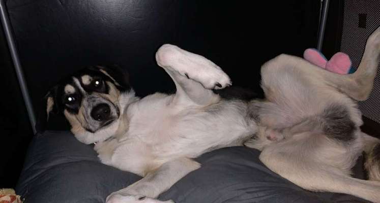 Fotochallenge Nr.65-Beitrag-Bild