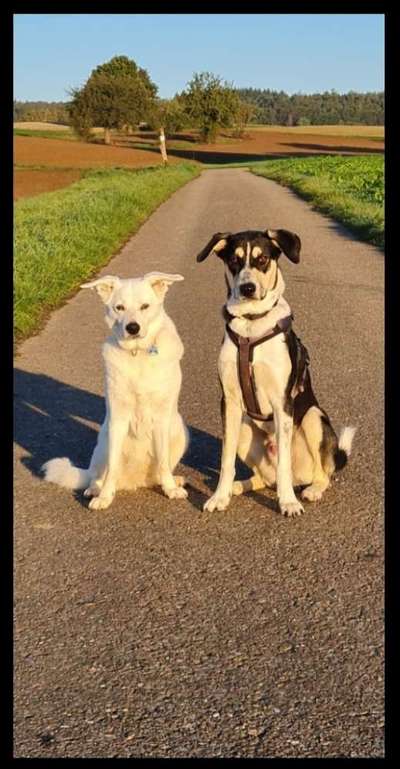 Doppelgänger gesucht !-Beitrag-Bild