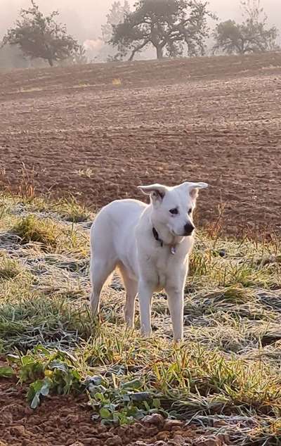 Fotochallenge Nr. 56 - geliebte Senioren-Beitrag-Bild