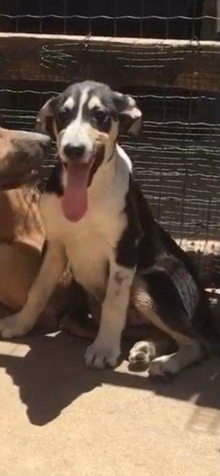 Un...scharf Bilder-Beitrag-Bild