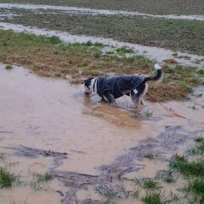 FOTOCHALLANGE NR.71 BADEFREUDE-Beitrag-Bild