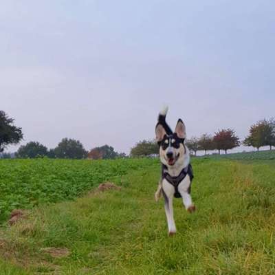 Fotochallenge Nr. 52 „Spring!“-Beitrag-Bild