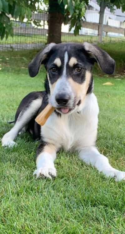 Handyfoto challenge Nr. 13: Waschlappen raus!-Beitrag-Bild