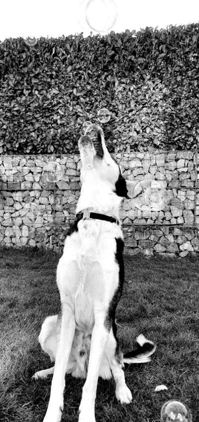 Foto-Challenge 76: Foto in Schwarz-Weiss-Beitrag-Bild