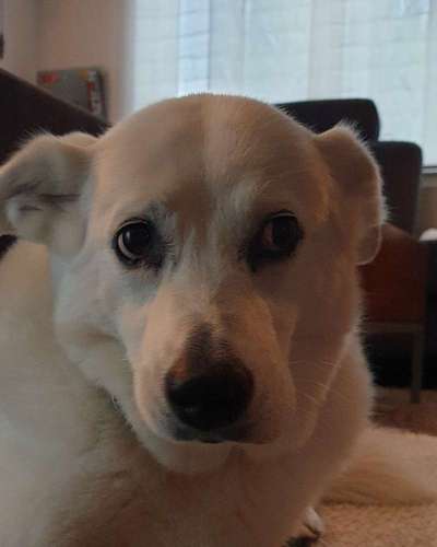 Fotochallange Nr. 57     PORTRÄT.   Beendet!!!!!!!!-Beitrag-Bild