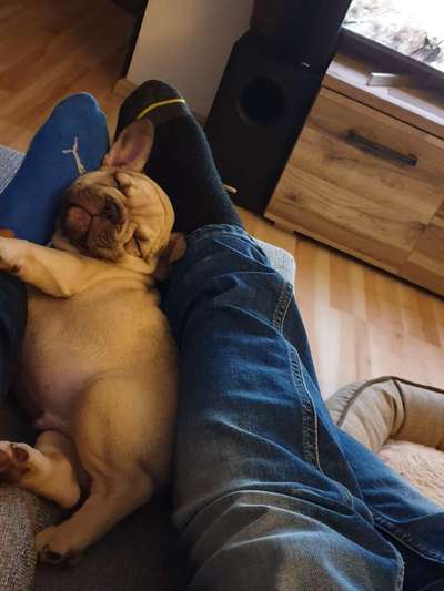 Die unbequemsten und lustigsten Schlafpositionen-Beitrag-Bild