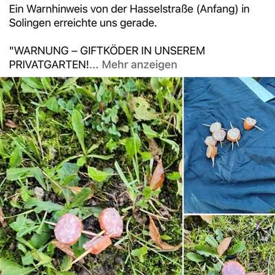 Giftköder-Giftköder in Privatgarten ausgelegt!-Bild