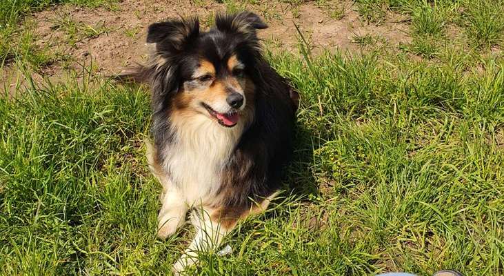 -Oldi but goldi--Beitrag-Bild