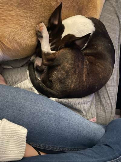 Lustige Grimassen & verrückte Posen-Beitrag-Bild