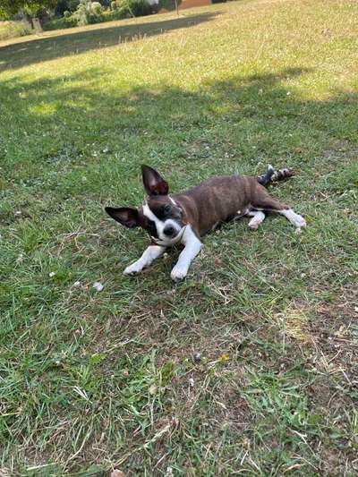 Doppelgänger gesucht !-Beitrag-Bild