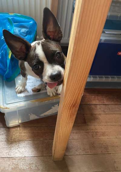 Lustige Grimassen & verrückte Posen-Beitrag-Bild