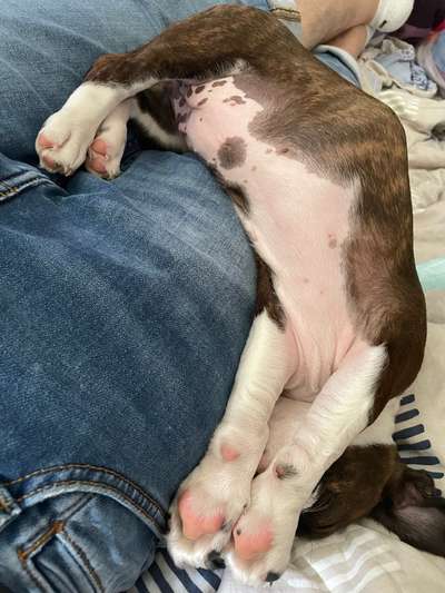 Lustige Grimassen & verrückte Posen-Beitrag-Bild