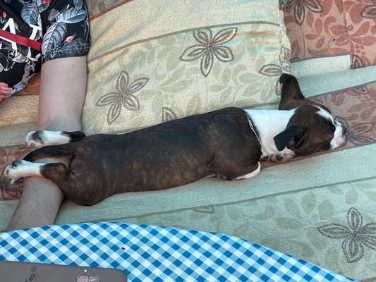 Lustige Grimassen & verrückte Posen-Beitrag-Bild