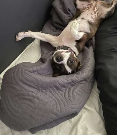 Handy-foto Challange nr. 11-Beitrag-Bild