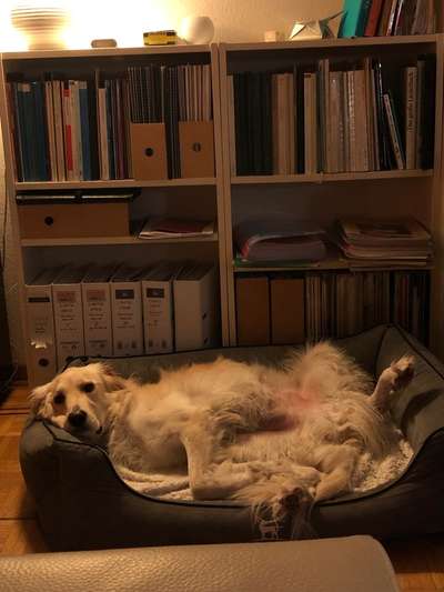 FOTO-Challenge  NR. 91: Die pure Entspannung-Beitrag-Bild