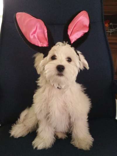 LUSTIGE FOTOS! WER KANN MITHALTEN?-Beitrag-Bild