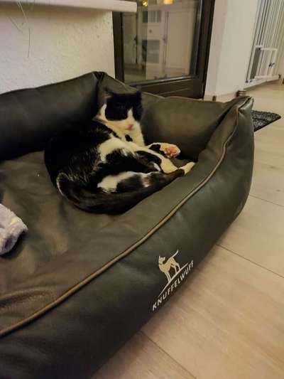 Erfahrung mit Wolkenbett-Beitrag-Bild