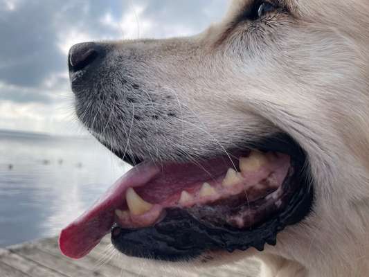 Blick fürs Detail!-Beitrag-Bild