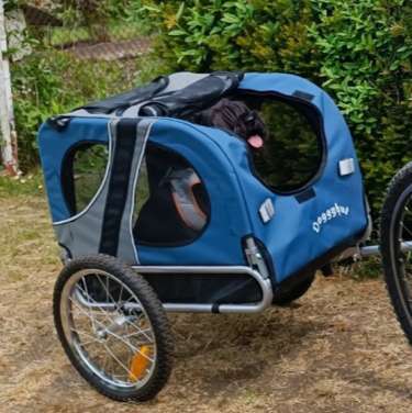 Hundeanhänger zu verkaufen für mittelgroße Hunde-Beitrag-Bild