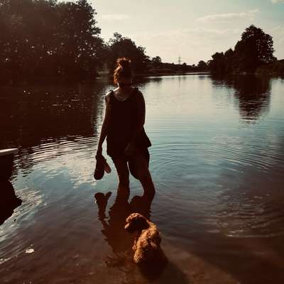 Hundetreffen-Gassi & Spielrunde-Profilbild