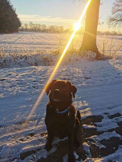 Dogorama Photo Challenge - Es wird nochmal kalt!-Beitrag-Bild
