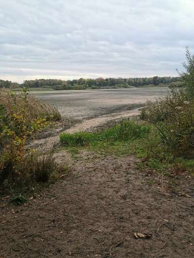 Hundeauslaufgebiet-Ahlhorner Fischteiche-Bild