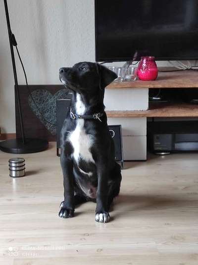 Lieblingsbild-Beitrag-Bild