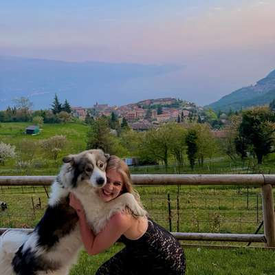Hundetreffen-Spaziergang mit Buddy in Steinheim-Bild