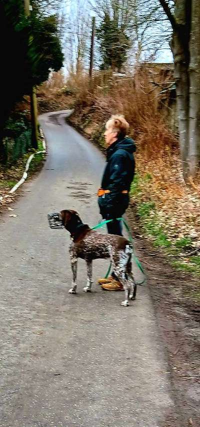 Maulkorb ist gleich Schuldeingeständnis?-Beitrag-Bild