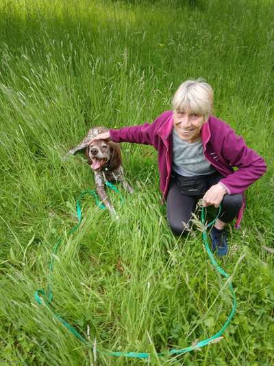 "Notfall"-Reaktion bei Leinenreaktivität-Beitrag-Bild