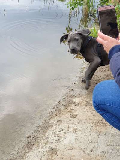 Dogorama-Monats-Challenge-Mai "Wasser"-Beitrag-Bild