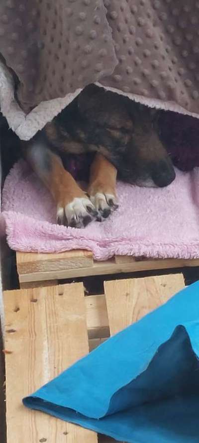 Foto Challenge Nr. 134-Beitrag-Bild