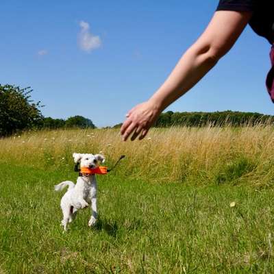 %{de_profession_title}-Nasenarbeit-Bild