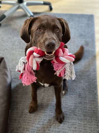 Zeigt eure Portraits-Beitrag-Bild