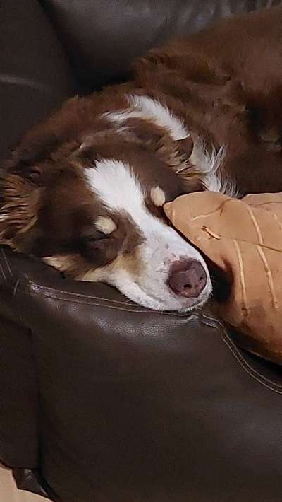 Schlafzeit!💖-Beitrag-Bild