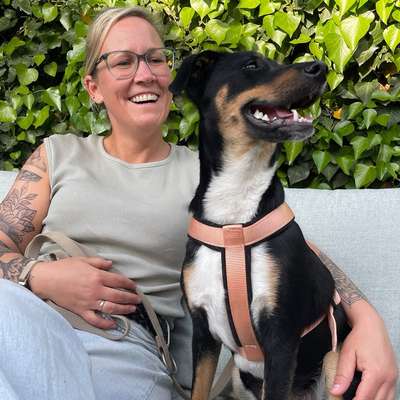 Hundetreffen-Spielkumpel gesucht