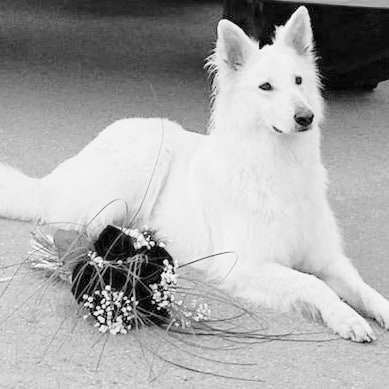 Foto-Challenge 76: Foto in Schwarz-Weiss-Beitrag-Bild