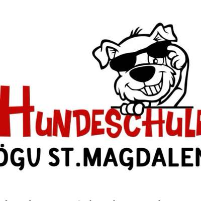 Hundeschule Bild