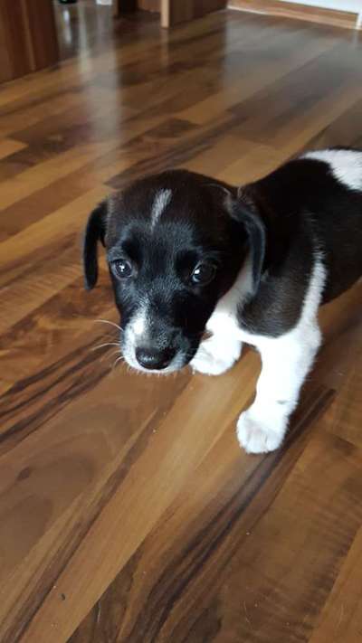 Sie werden so schnell erwachsen ...-Beitrag-Bild