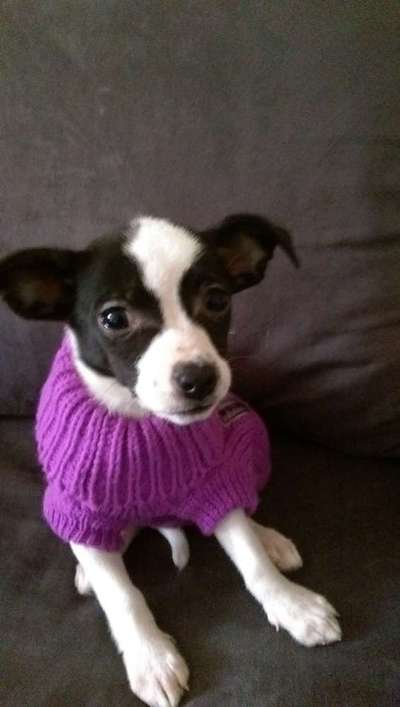 Sie werden so schnell erwachsen ...-Beitrag-Bild