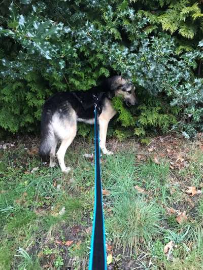 Challenge 21 - wo bin ich : )-Beitrag-Bild