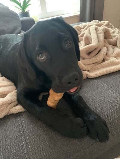 Splitterfrei-Beitrag-Bild