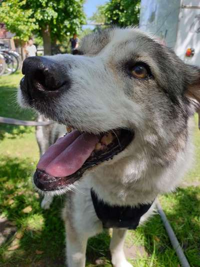 Lieblingsbild :D-Beitrag-Bild