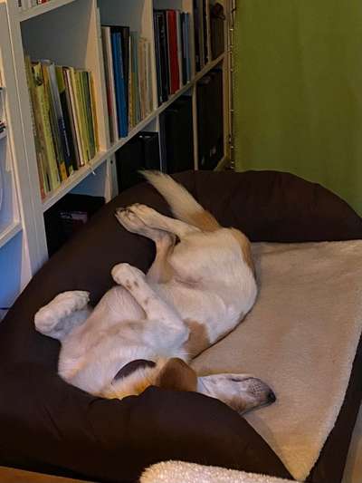 FOTO-Challenge  NR. 91: Die pure Entspannung-Beitrag-Bild