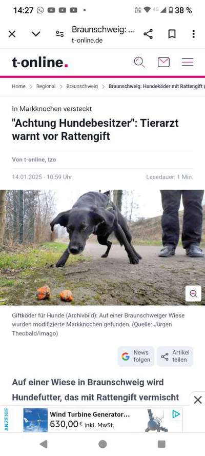 Giftköder-Rattengift Tierärzte warnen-Bild